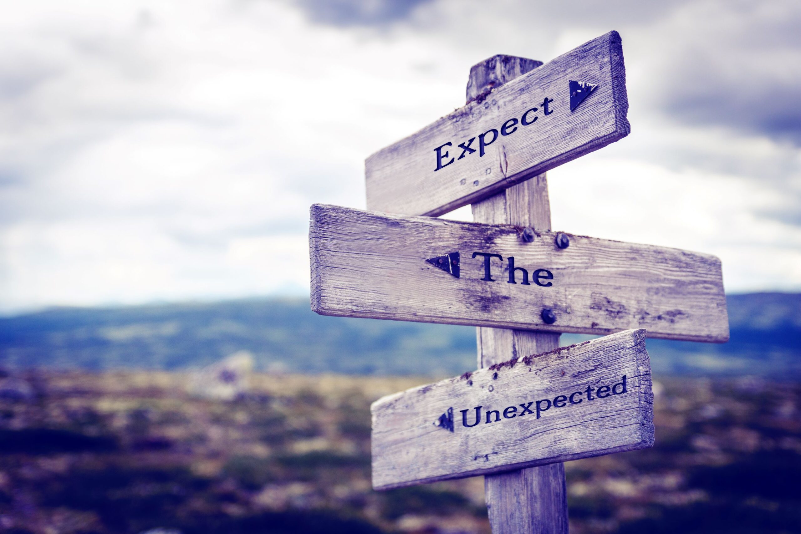 Expect the Unexpected written in wooden signpost outdoors in nature